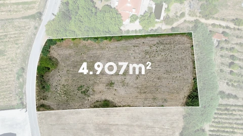 Terreno para Venda em Carvoeira e Carmões