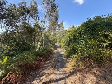 Moradia T2 para Venda em Raiva, Pedorido e Paraíso