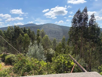 Moradia T2 para Venda em Raiva, Pedorido e Paraíso