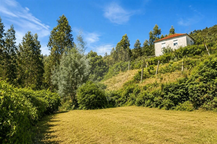 Moradia T2 para Venda em Raiva, Pedorido e Paraíso Foto 16