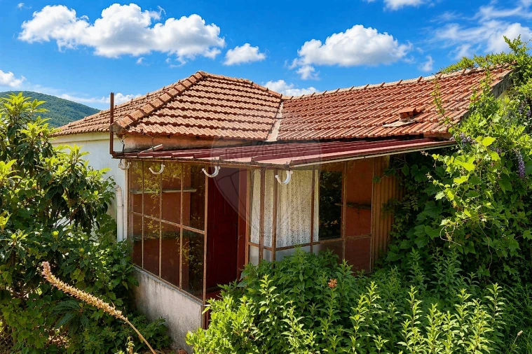 Moradia T2 para Venda em Raiva, Pedorido e Paraíso Foto 11