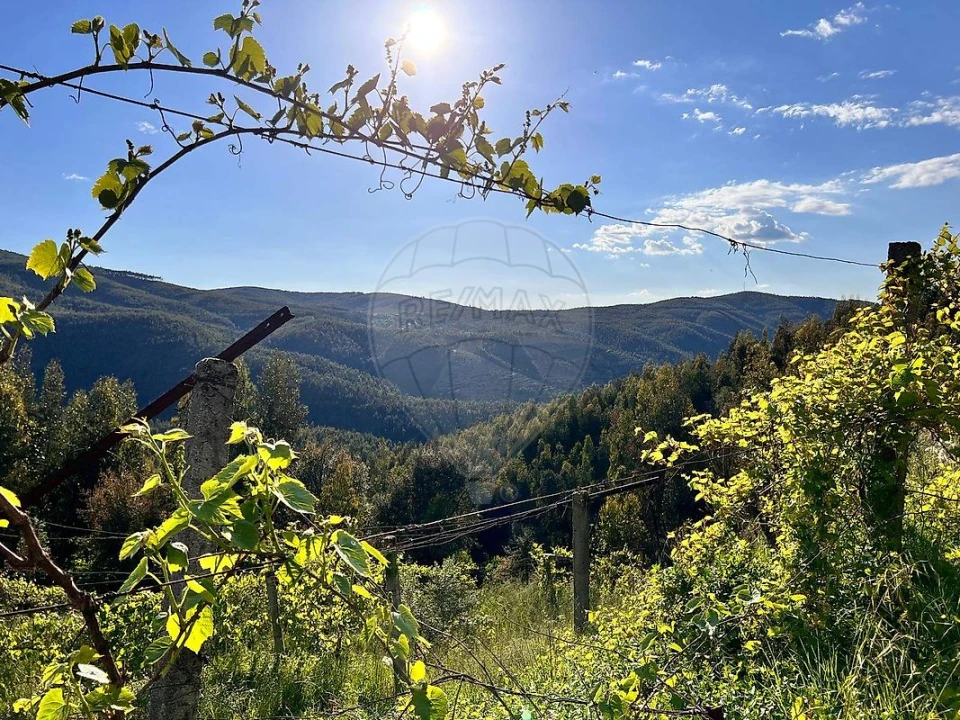 Moradia T2 para Venda em Raiva, Pedorido e Paraíso Foto 2