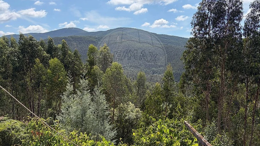 Moradia T2 para Venda em Raiva, Pedorido e Paraíso