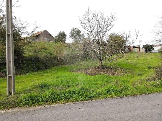 Terreno para Venda em Calvaria de Cima Foto 2