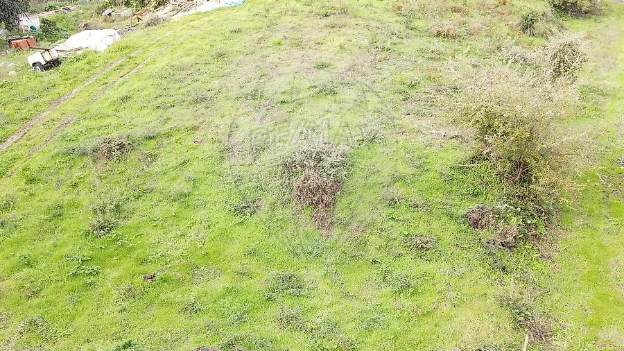 Terreno para Venda em Calvaria de Cima