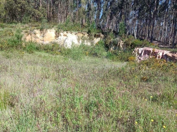 Terreno para Venda em Rio Maior