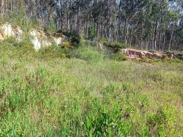 Terreno para Venda em Rio Maior