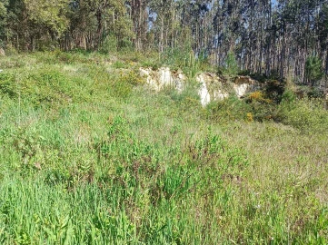 Terreno para Venda em Rio Maior