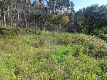 Terreno para Venda em Rio Maior