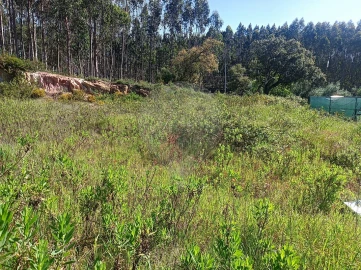 Terreno para Venda em Rio Maior