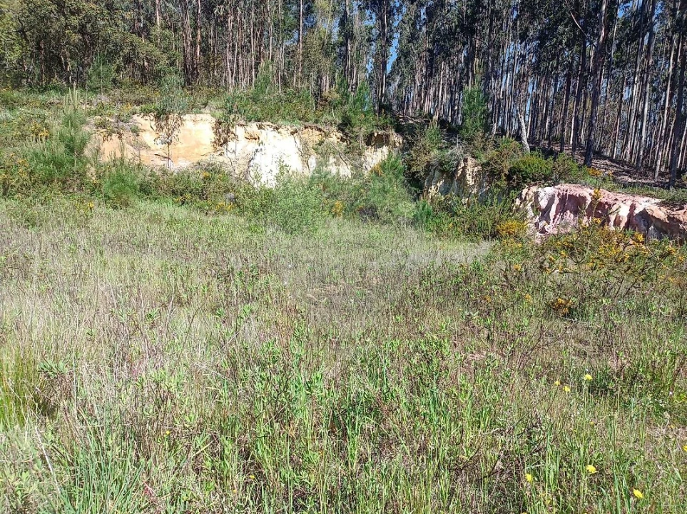 Terreno para Venda em Rio Maior Foto 2