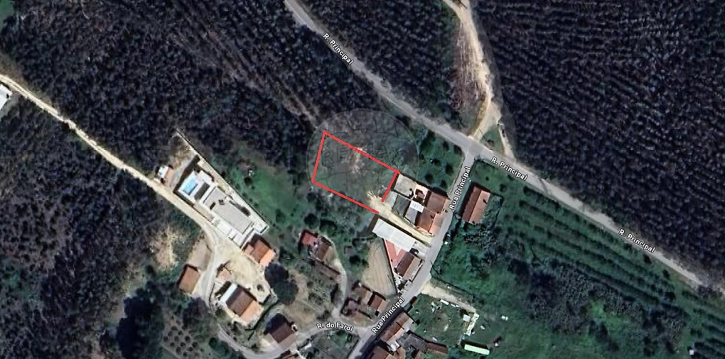 Terreno para Venda em Rio Maior Foto 7
