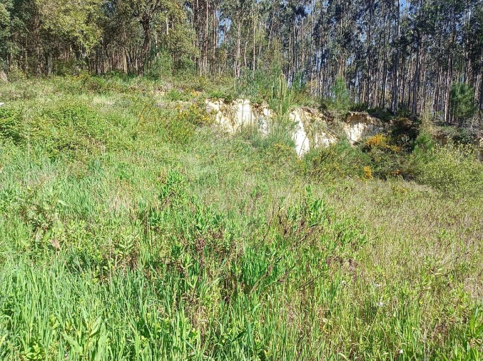 Terreno para Venda em Rio Maior Foto 5