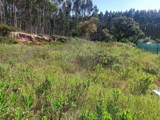 Terreno para Venda em Rio Maior Foto 6