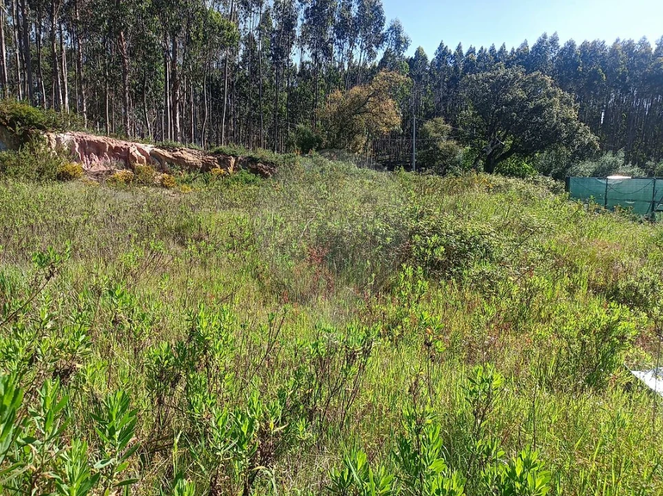 Terreno para Venda em Rio Maior Foto 6
