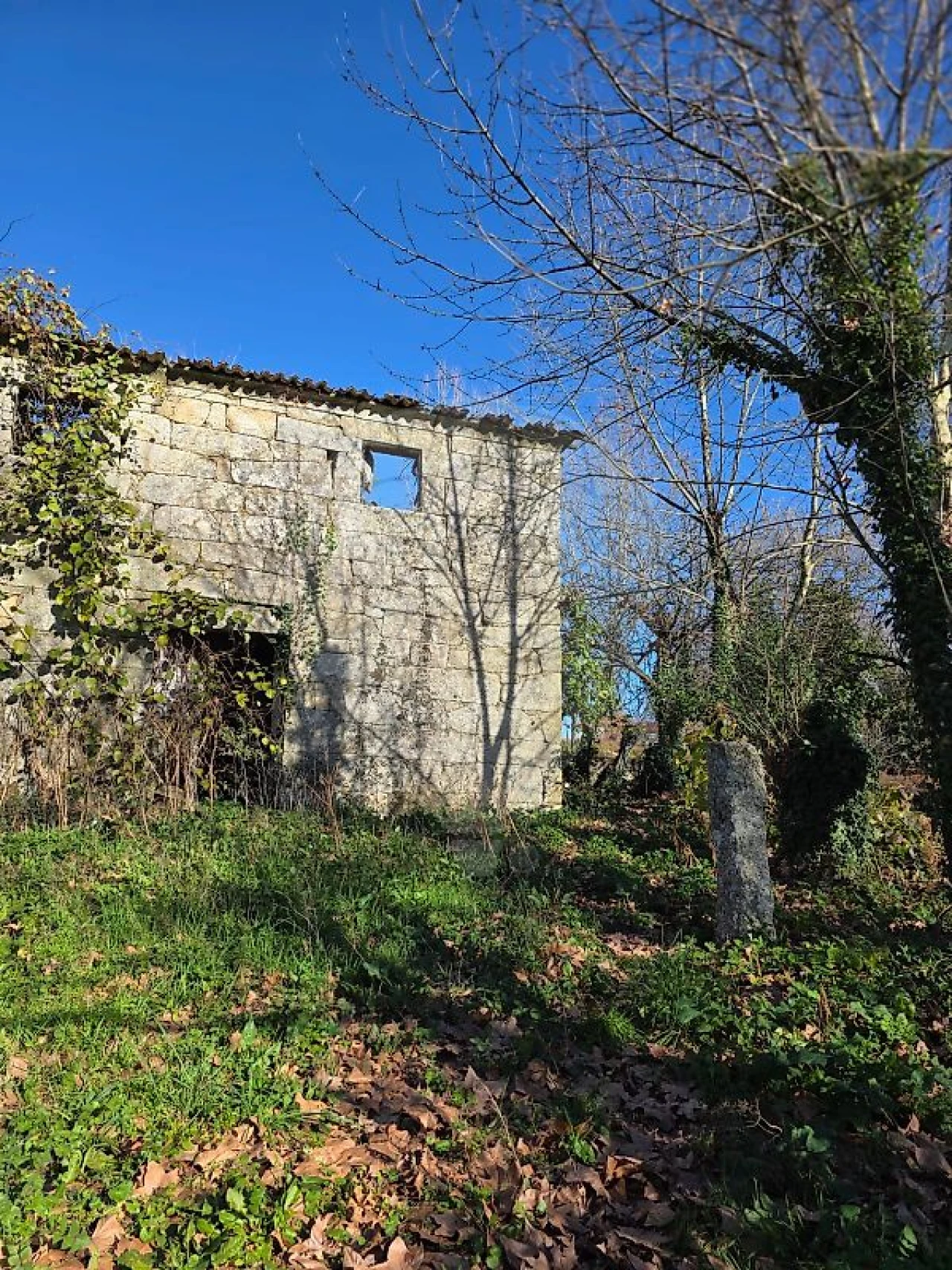 Quinta T
           para Venda em Britelo, Gémeos e Ourilhe Foto 6