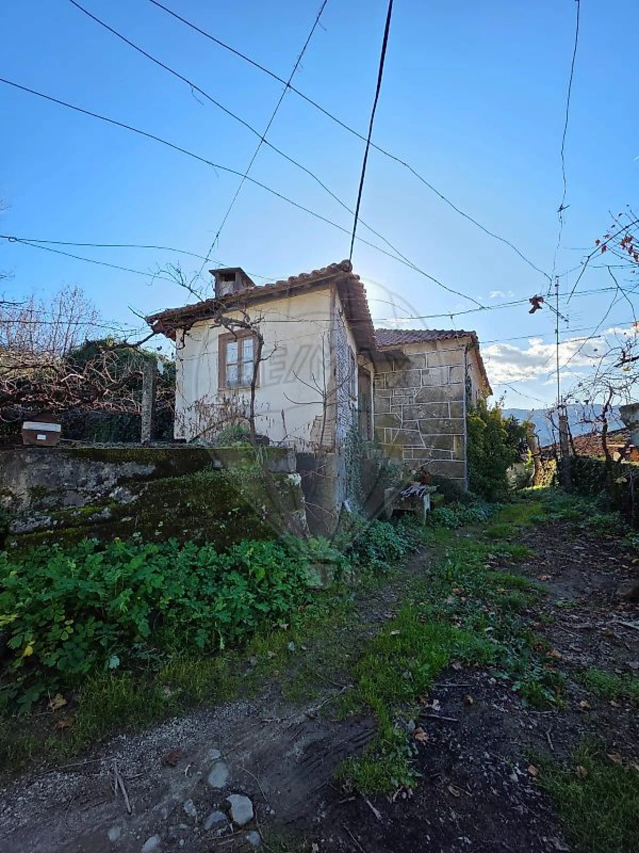 Quinta T
           para Venda em Britelo, Gémeos e Ourilhe Foto 4