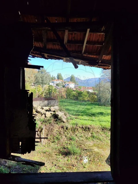 Quinta T
           para Venda em Britelo, Gémeos e Ourilhe