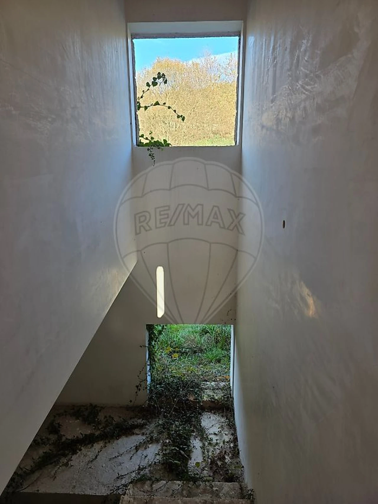 Quinta T0 para Venda em Atei Foto 5