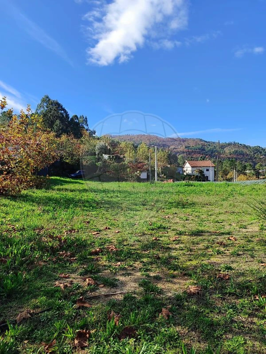 Quinta T0 para Venda em Britelo, Gémeos e Ourilhe Foto 2