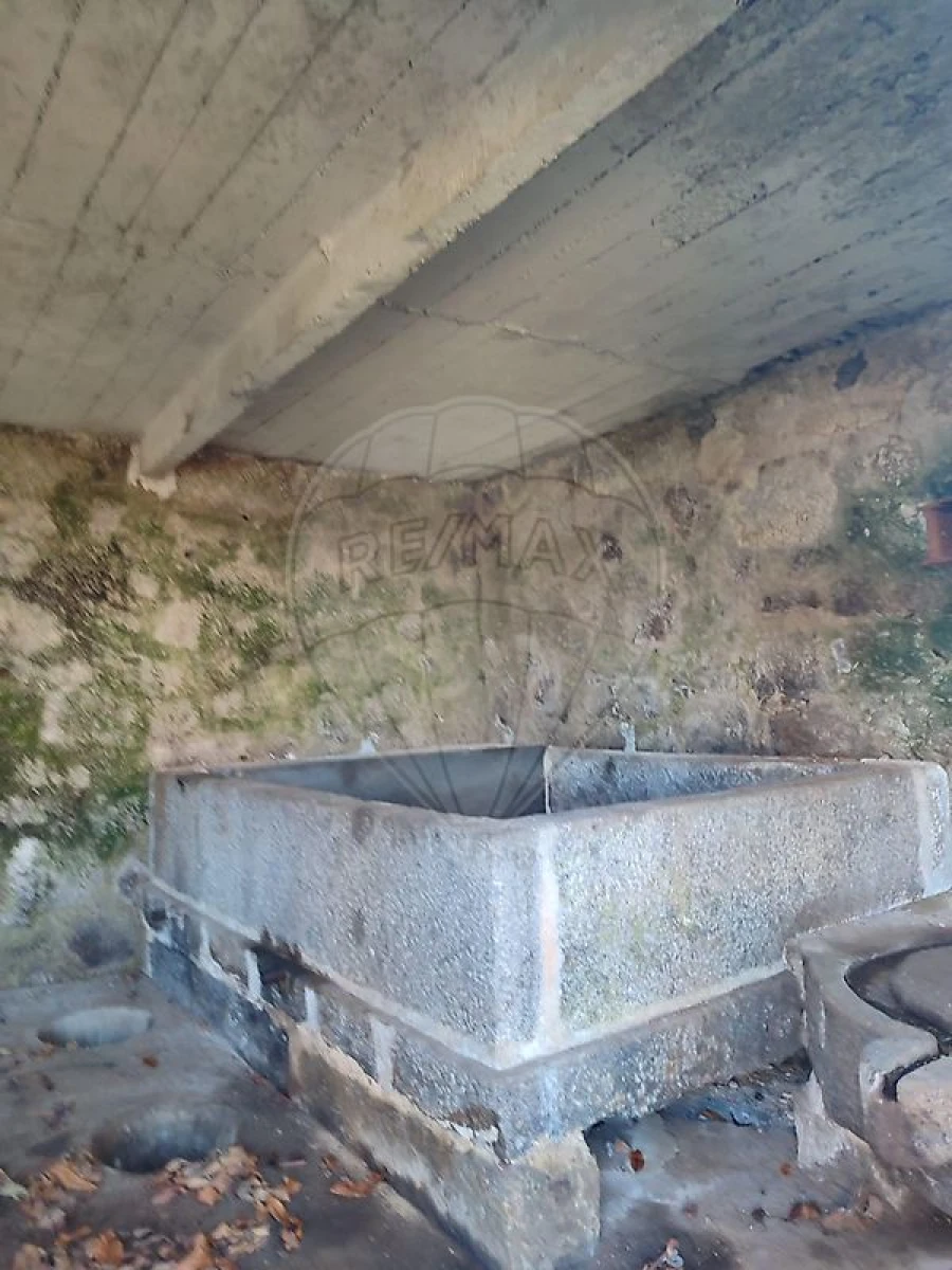 Quinta T8 para Venda em Torno Foto 20