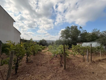 Terreno para Venda em Belver
