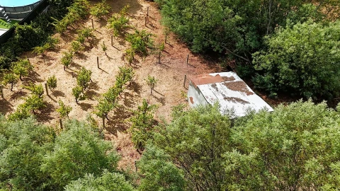 Terreno para Venda em Belver