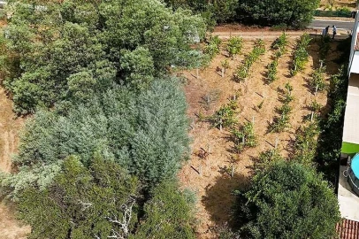 Terreno para Venda em Belver