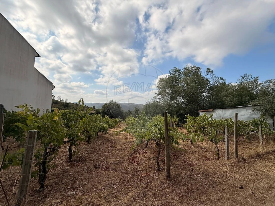Terreno para Venda em Belver Foto 3