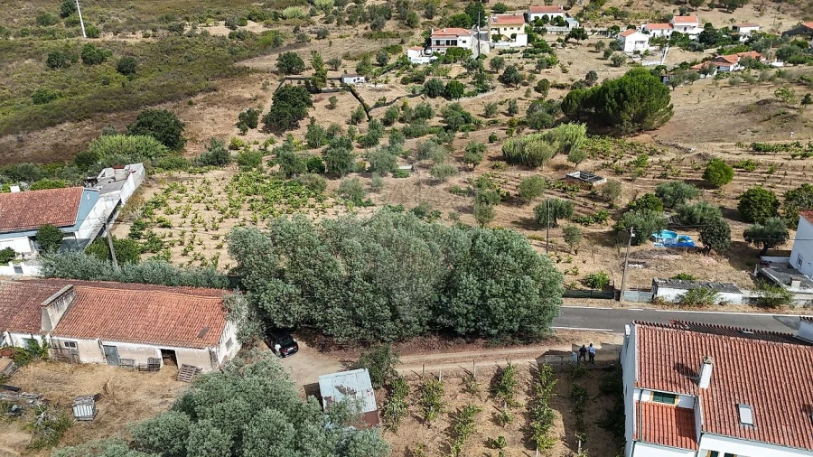 Terreno para Venda em Belver Foto 4