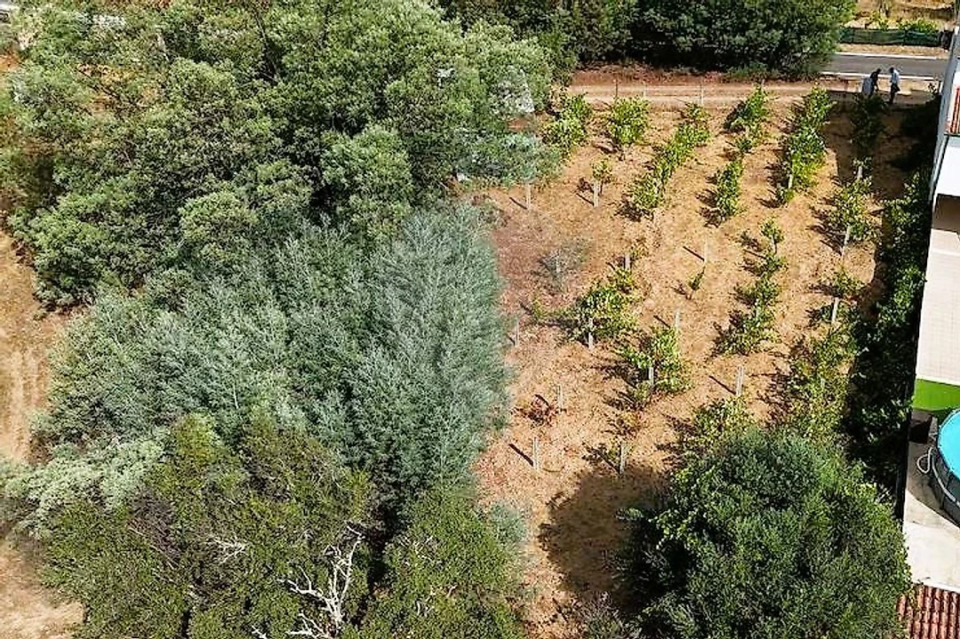 Terreno para Venda em Belver Foto 1