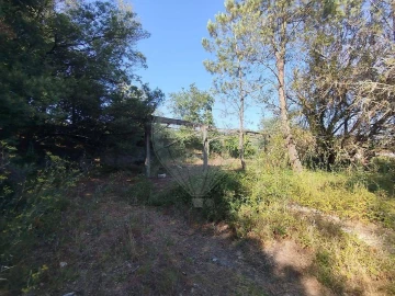 Terreno para Venda em Rendufinho