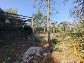 Terreno para Venda em Rendufinho