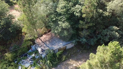 Terreno para Venda em Rendufinho