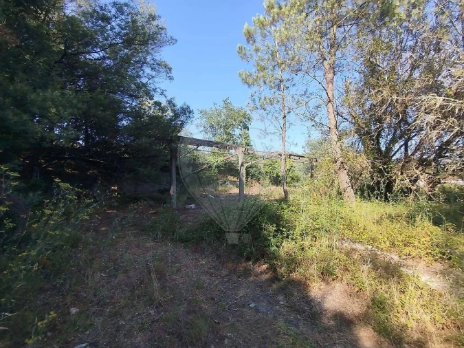 Terreno para Venda em Rendufinho Foto 20