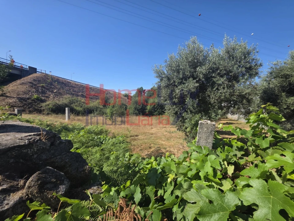 Terreno para Venda em Campo Foto 2