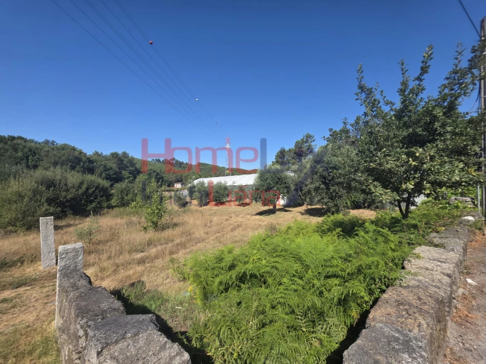 Terreno para Venda em Campo Foto 4