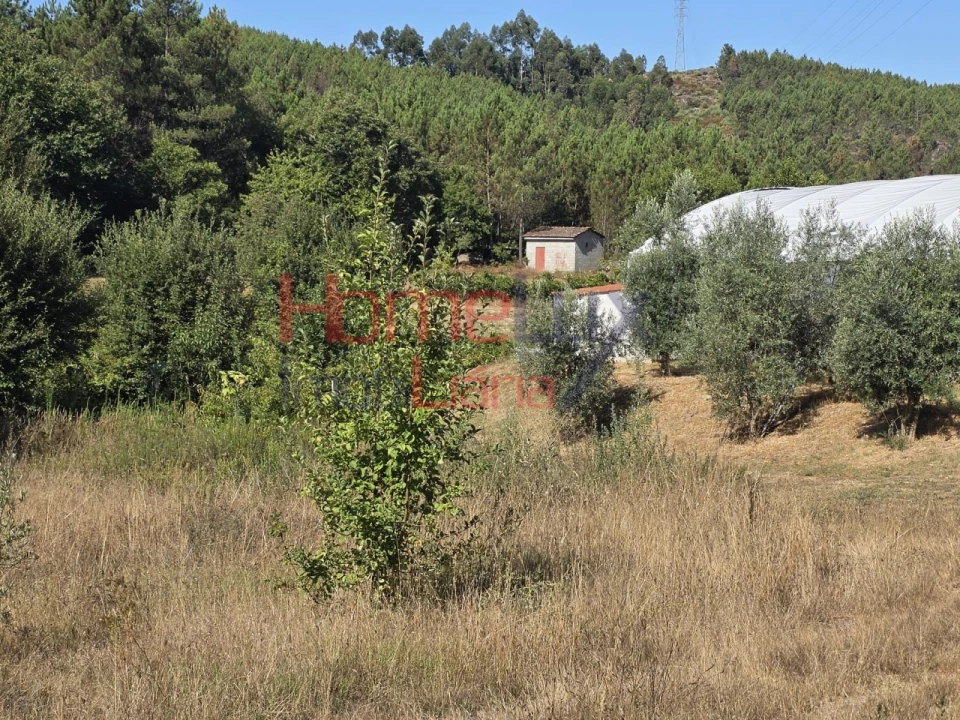 Terreno para Venda em Campo Foto 6