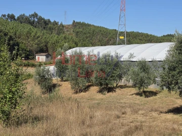 Terreno para Venda em Campo