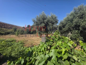 Terreno para Venda em Campo