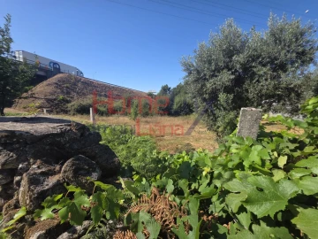Terreno para Venda em Campo