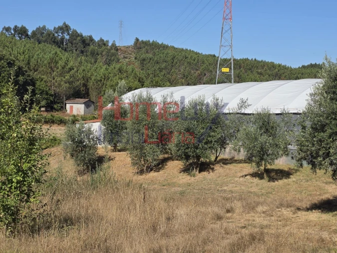Terreno para Venda em Campo Foto 3