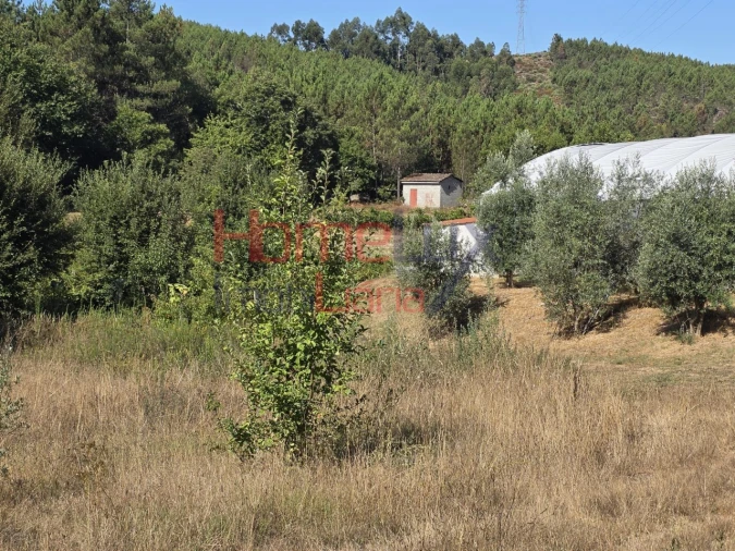 Terreno para Venda em Campo Foto 6