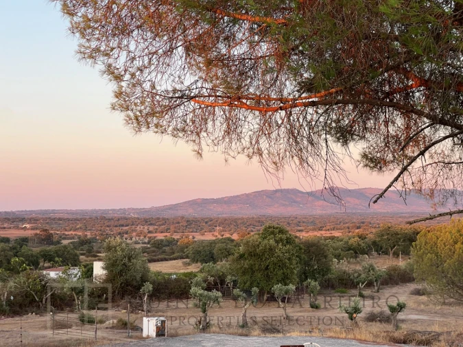 Quinta T6 para Venda em Alpalhão Foto 35