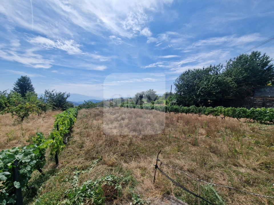 Terreno para Venda em Abaças Foto 1