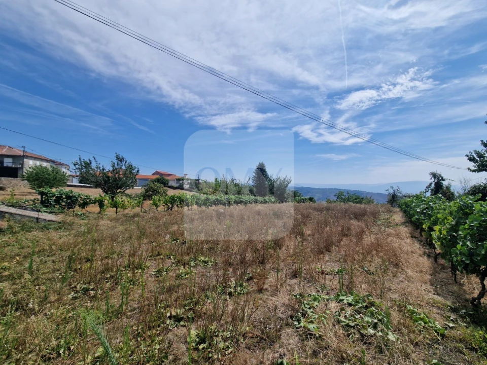 Terreno para Venda em Abaças Foto 3