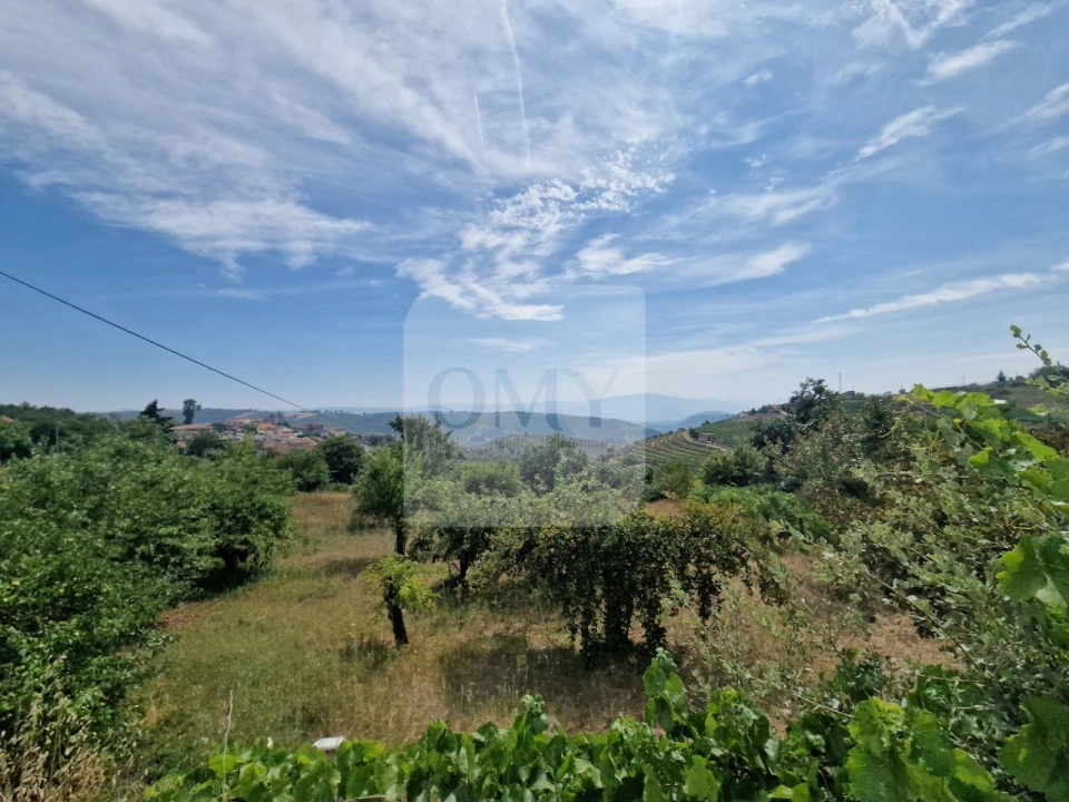 Terreno para Venda em Abaças Foto 6