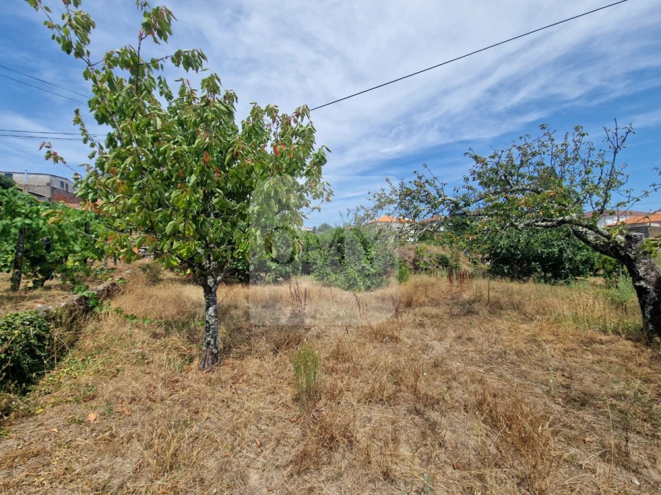 Terreno para Venda em Abaças Foto 7