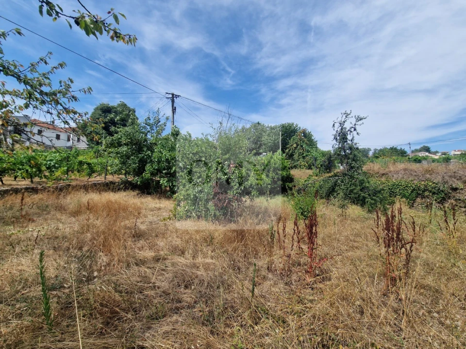 Terreno para Venda em Abaças Foto 8