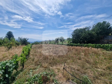 Terreno para Venda em Abaças